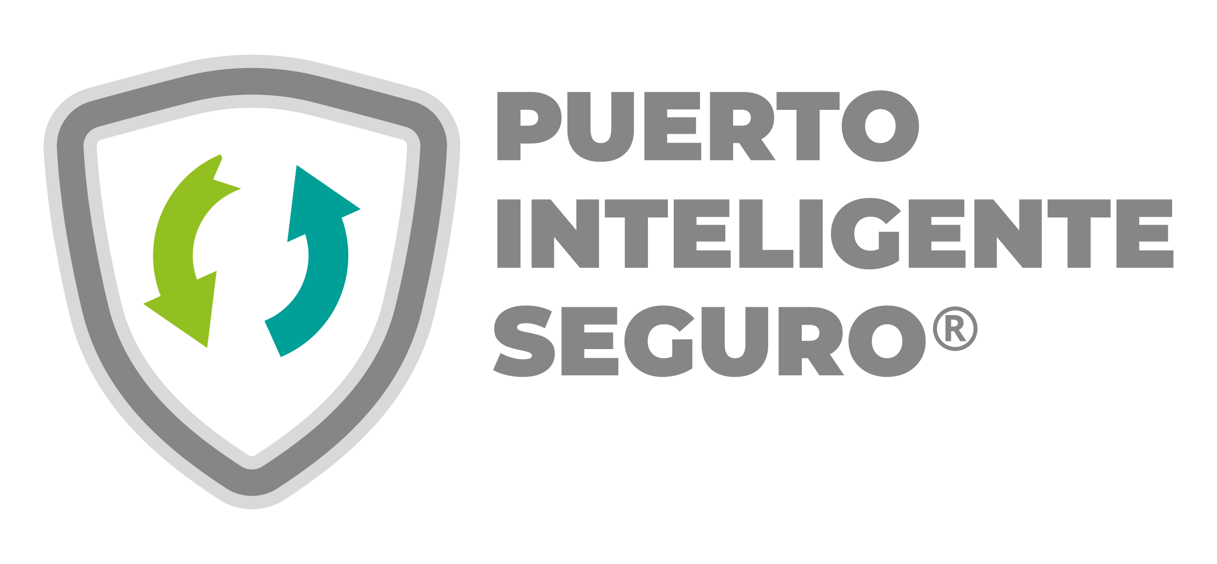 puertointeligenteseguro.com.mx-logo